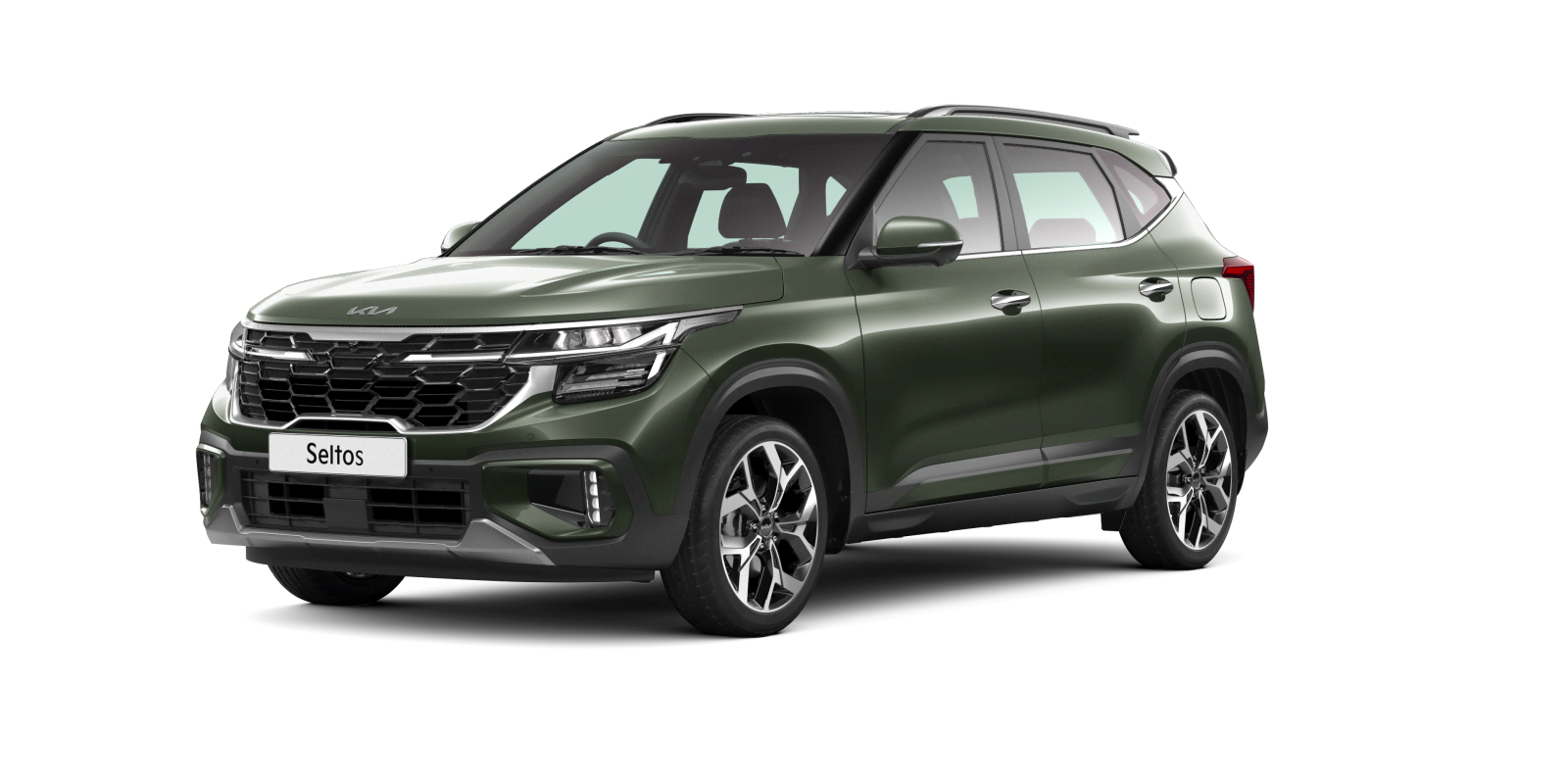 Pewter Olive